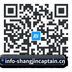 iPadOS & iOS 版 二维码